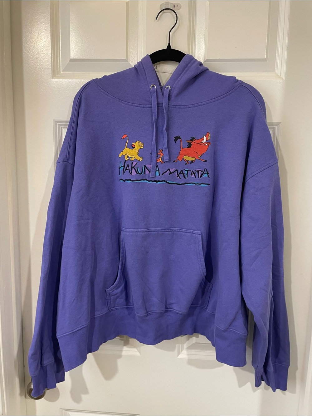 Disney Parks Lion King Hoodie